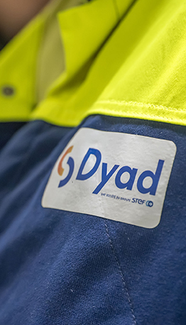 Logo Dyad